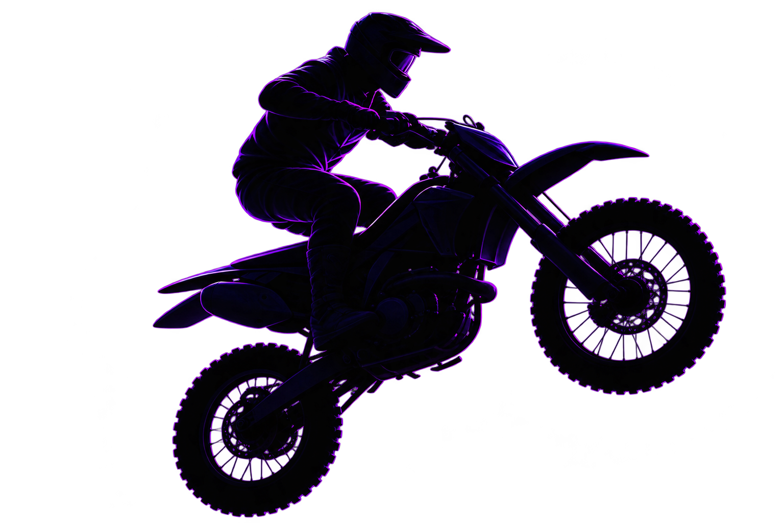 A motocross rider performs a jump above the stunt-show crowd